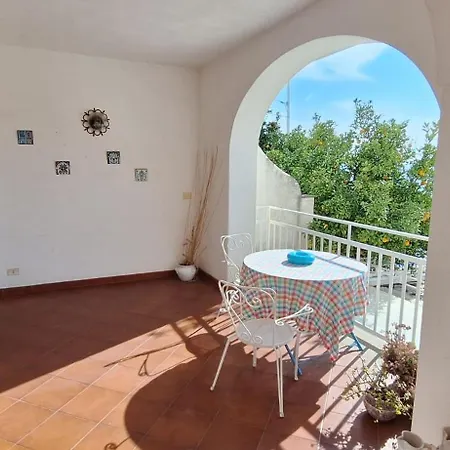 Les Paons - Villa *
